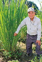 マコモの株と生産者の松尾敏和さん(関市武芸川)