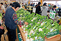 店内に並ぶ冬野菜