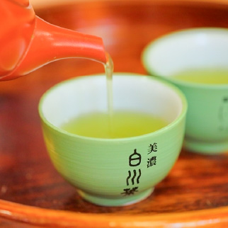 白川茶