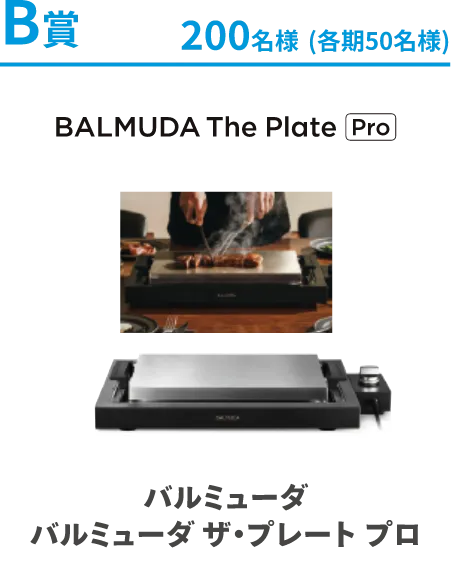 B賞 200名様 バルミューダ ザ・プレート プロ